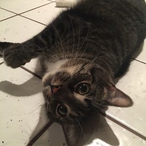 Meet your Posher, Kaden